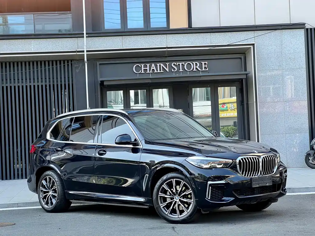 BMW X5 — миниатюра 3