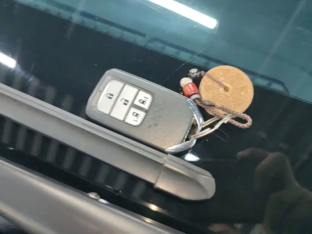 Honda Elysion — миниатюра 9