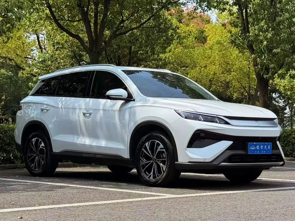 BYD Pro New Energy — миниатюра 3