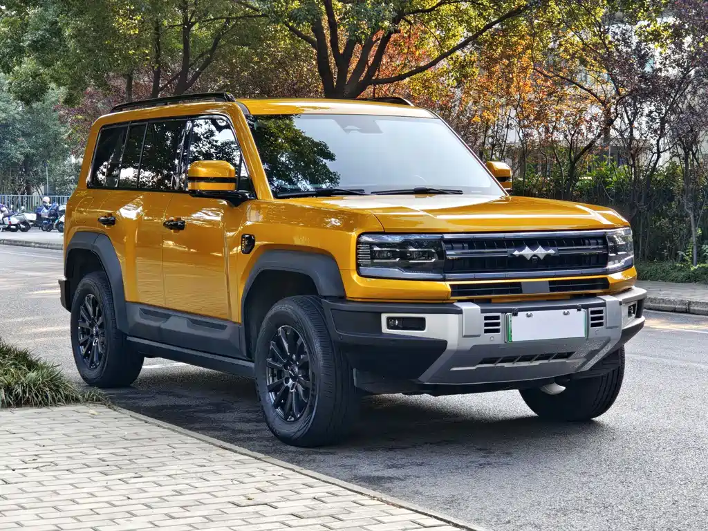 FANG CHENG BAO LEOPARD 5