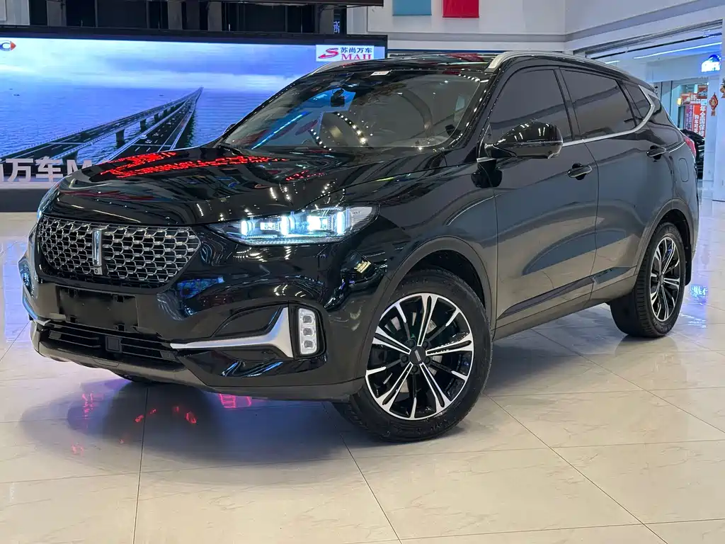 Wey Wey VV6