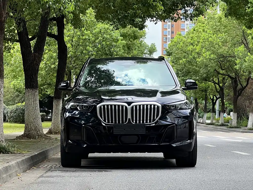 BMW X5 — миниатюра 2