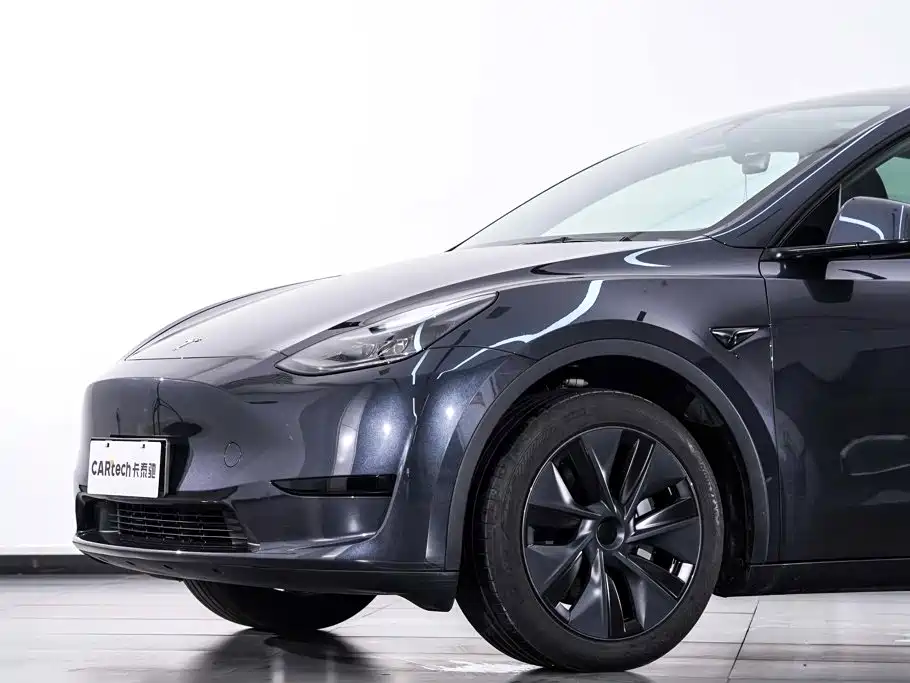 Tesla Model Y — миниатюра 5