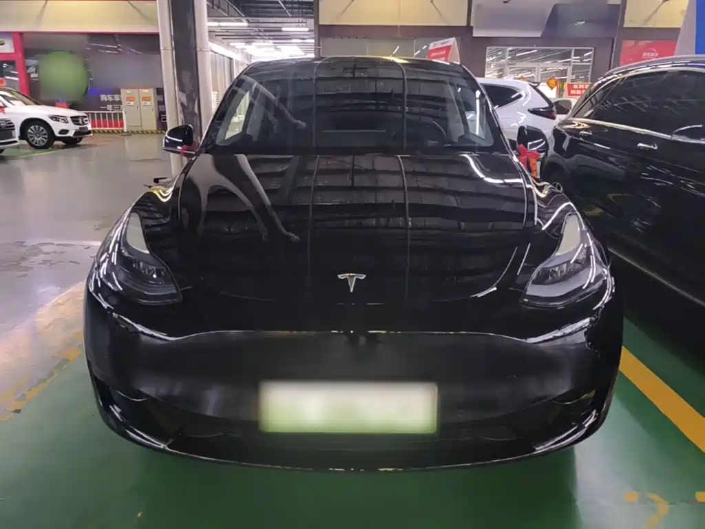 Tesla Model Y — миниатюра 3