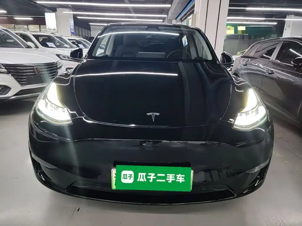 Tesla Model Y — миниатюра 3