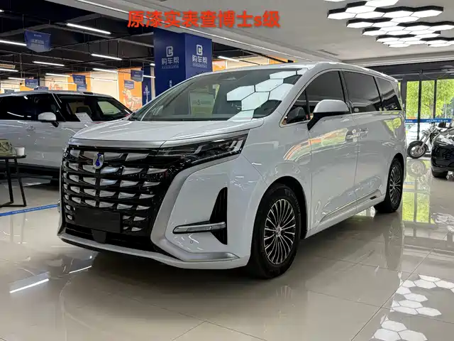 2023 Denza D9