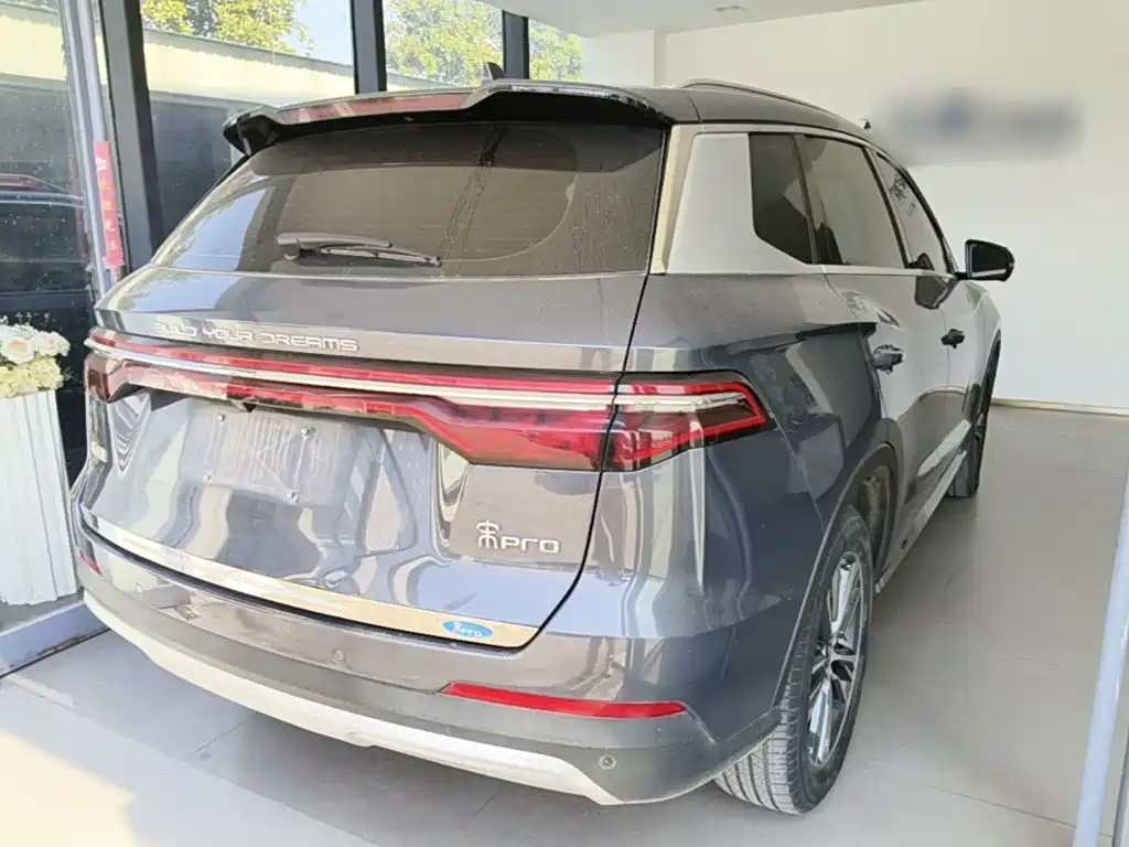 BYD Pro — миниатюра 7