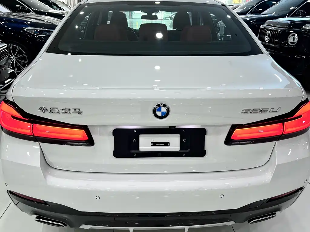 BMW 5 Series — миниатюра 4