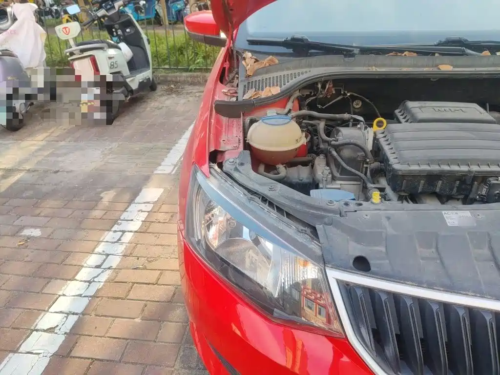 Skoda Fabia — миниатюра 19