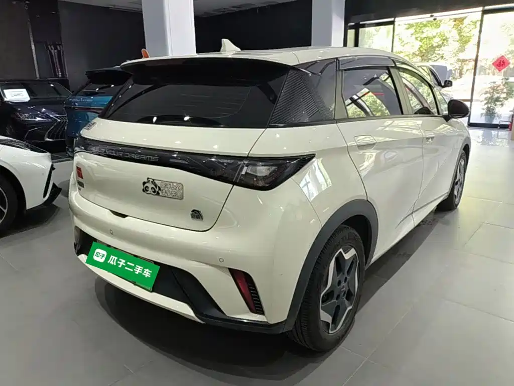 BYD Dolphin — миниатюра 7