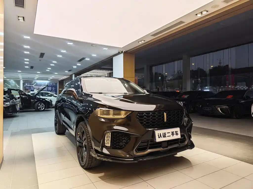 WEI PAI WEI BRAND VV5