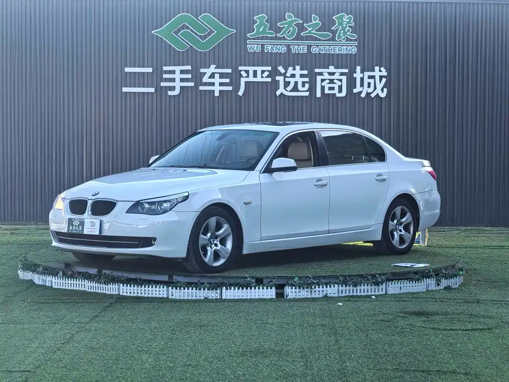 BMW 5 Series 2010