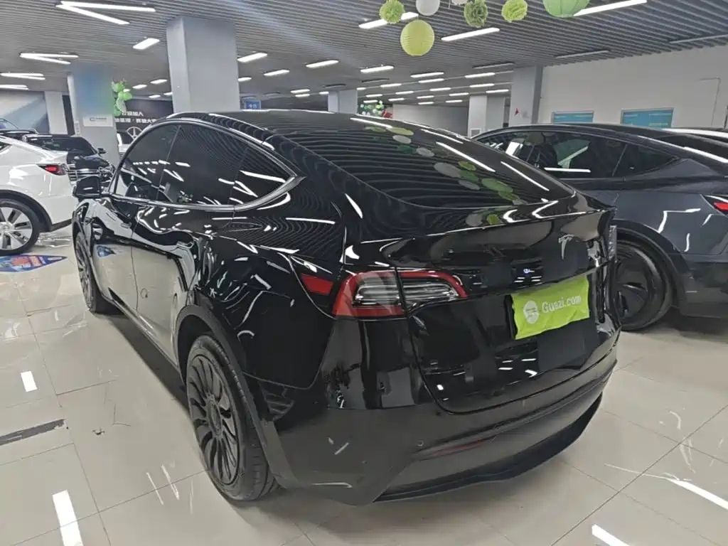 Tesla Model Y — миниатюра 5