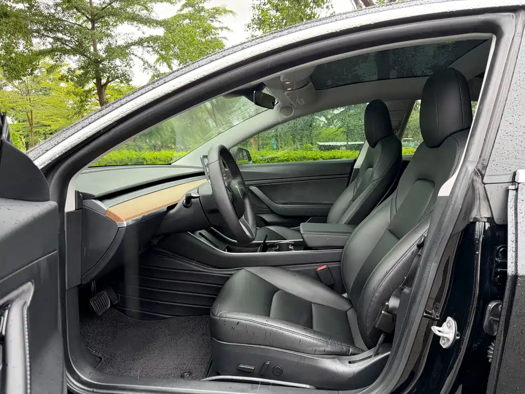 Tesla Model 3 — миниатюра 8