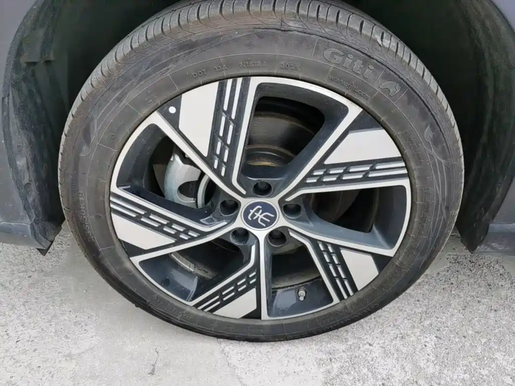 BYD Pro New Energy — миниатюра 23
