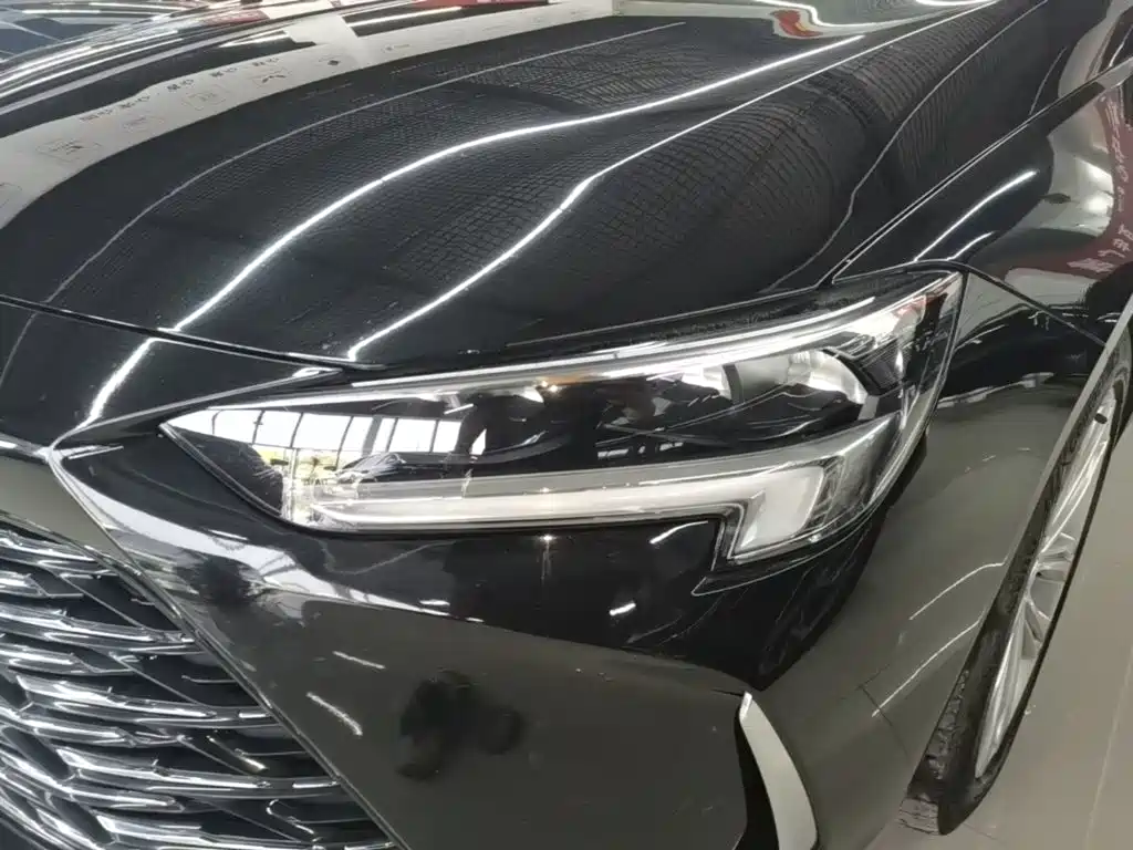 Buick Regal — миниатюра 24