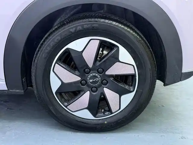 BYD Dolphin — миниатюра 16