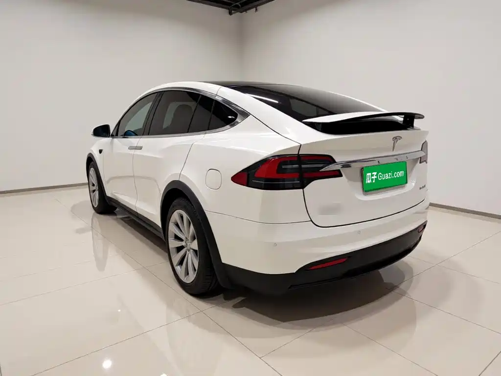 Tesla Model X — миниатюра 4