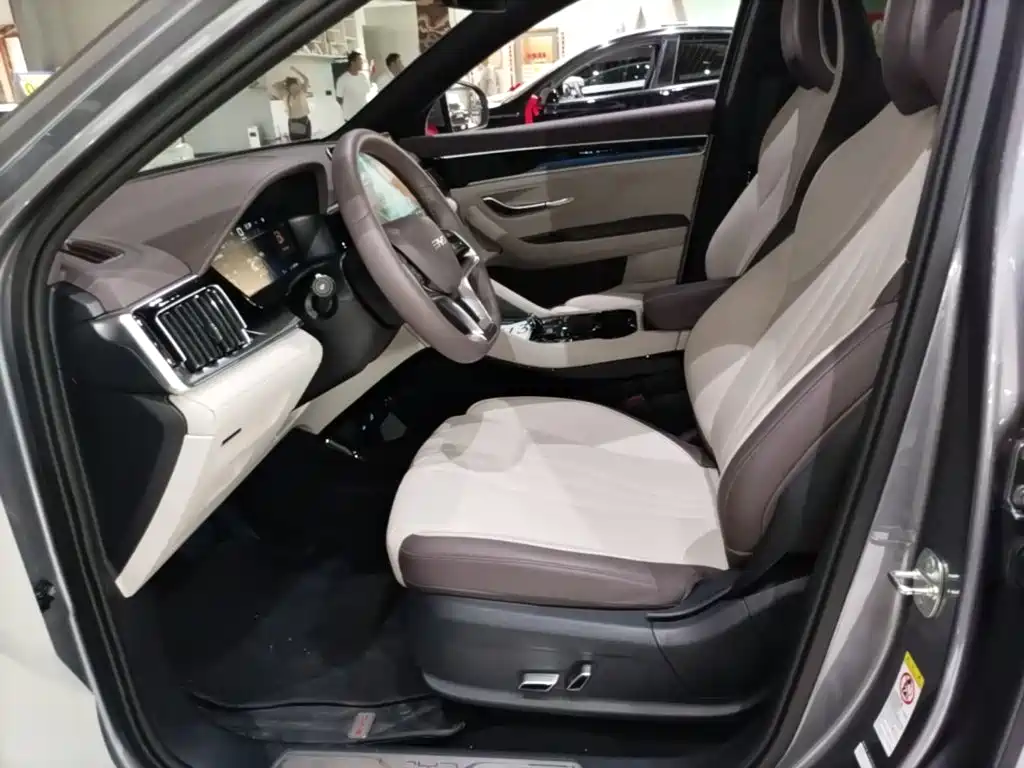 BYD PLUS New Energy — миниатюра 15