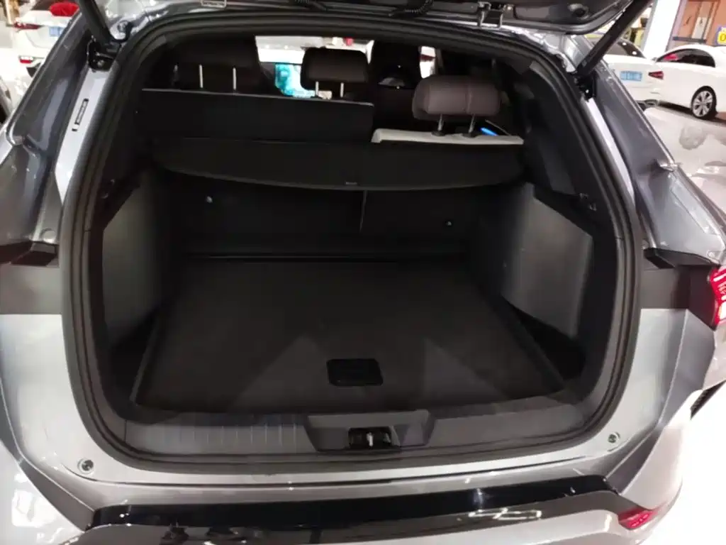 BYD PLUS New Energy — миниатюра 19