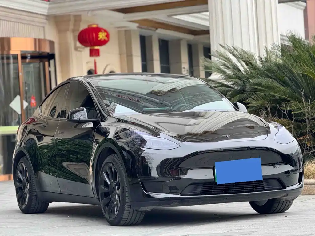 Tesla Model Y — миниатюра 2