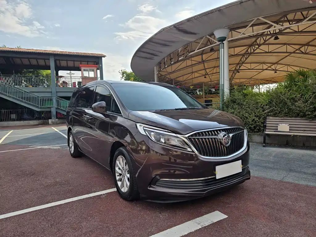 Buick GL8 — миниатюра 3