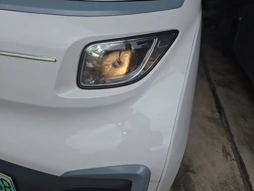 Wuling Nano EV — миниатюра 24
