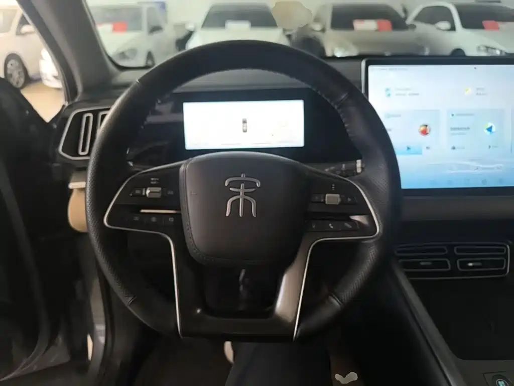 BYD Pro New Energy — миниатюра 11