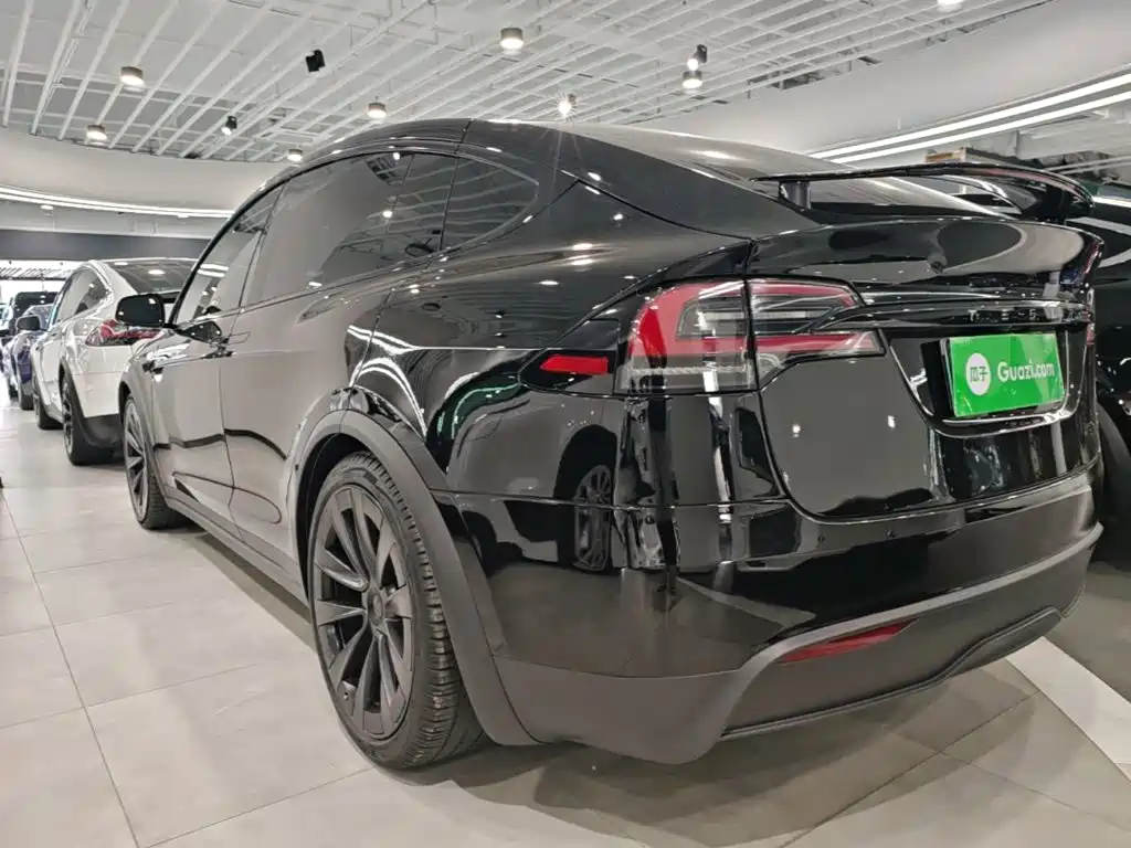 Tesla Model X — миниатюра 5