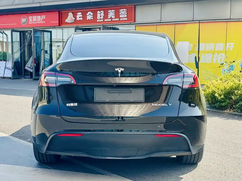 Tesla Model Y — миниатюра 5