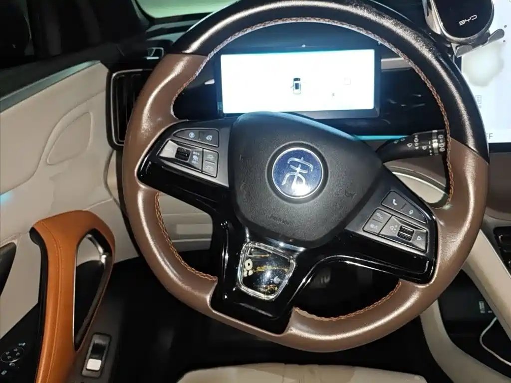 BYD Pro New Energy — миниатюра 13