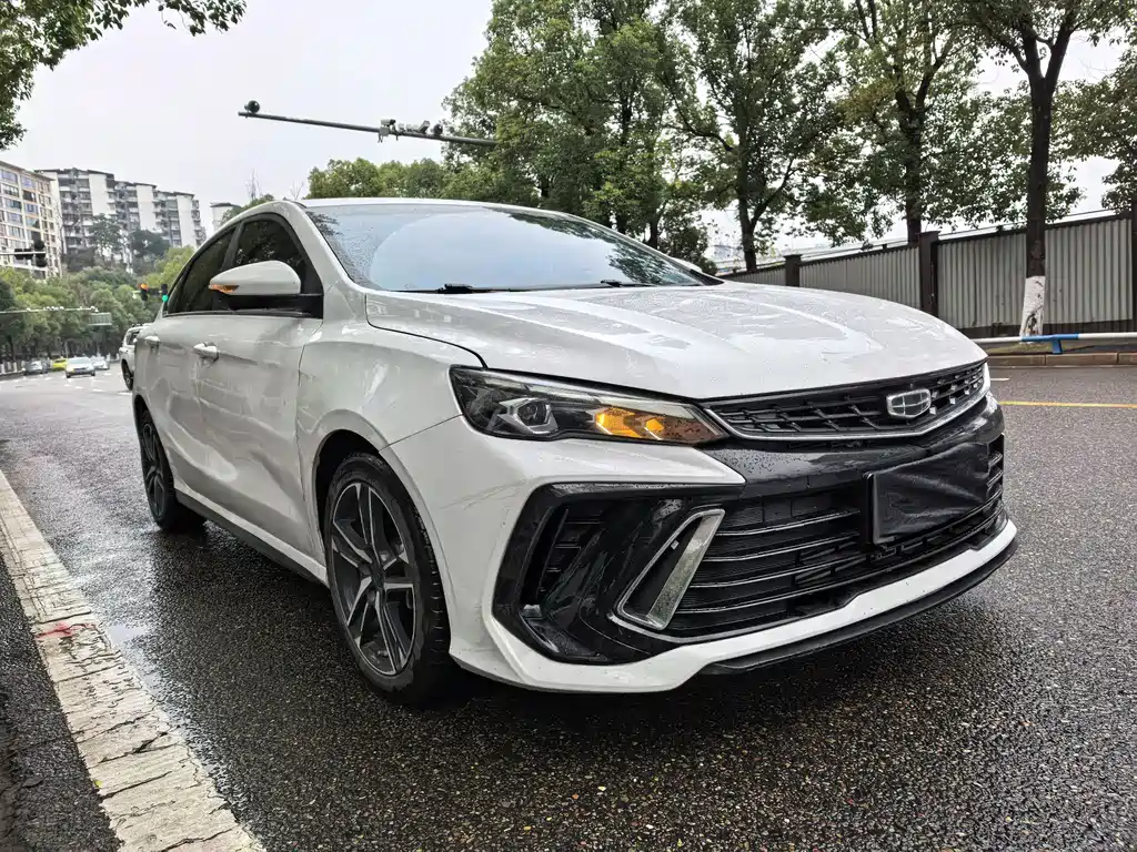GEELY AUTOMOBILE BINRUI