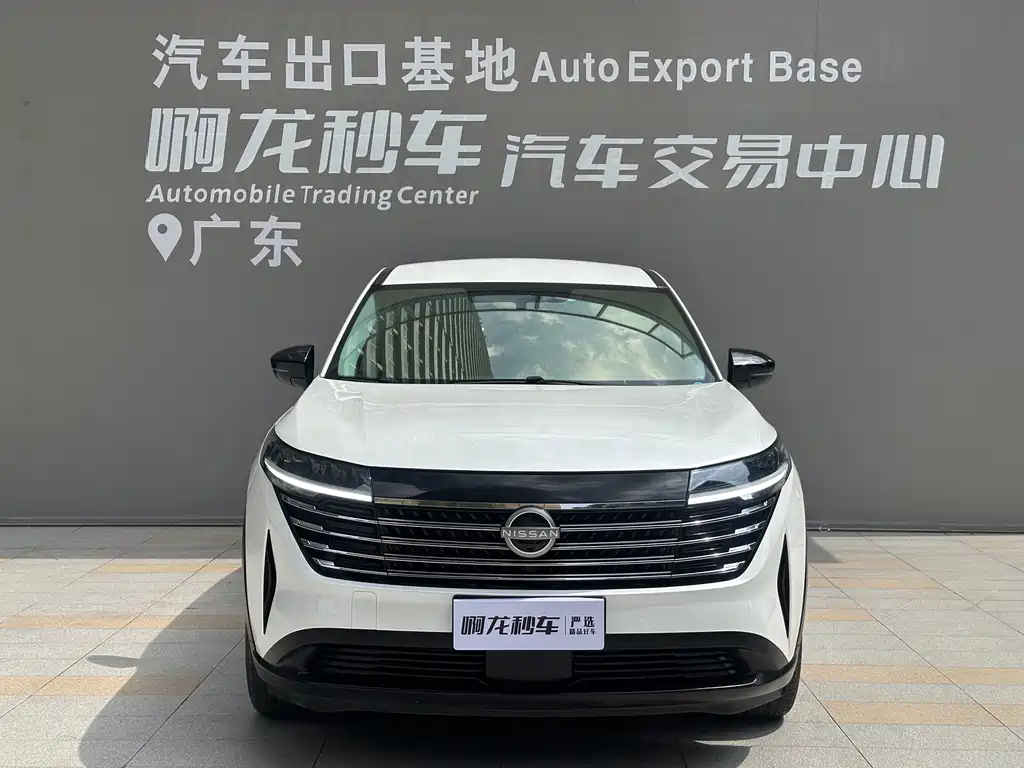 Nissan Teramont — миниатюра 2