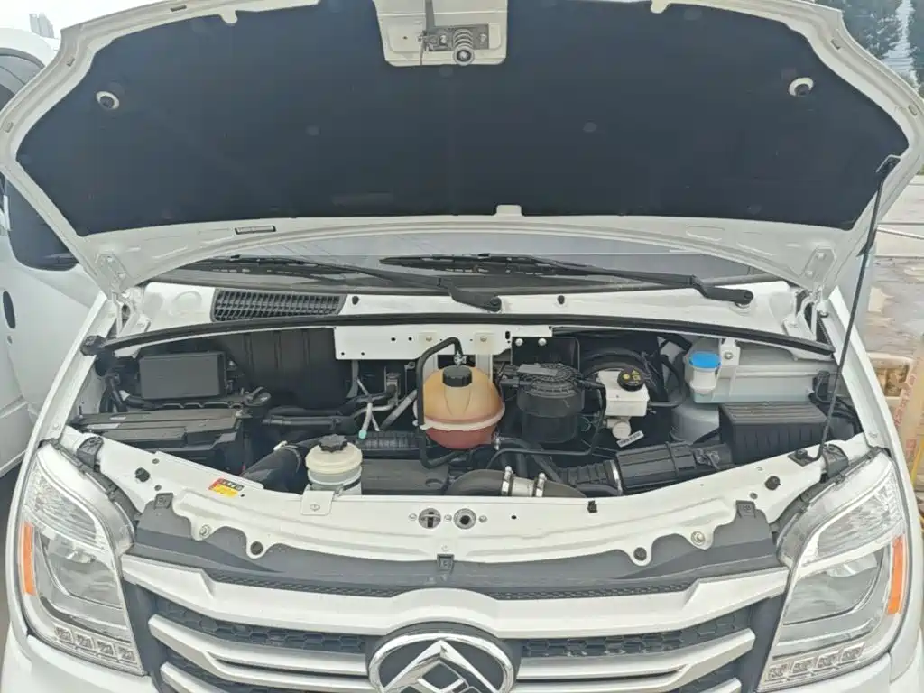 MAXUS V80 — миниатюра 20
