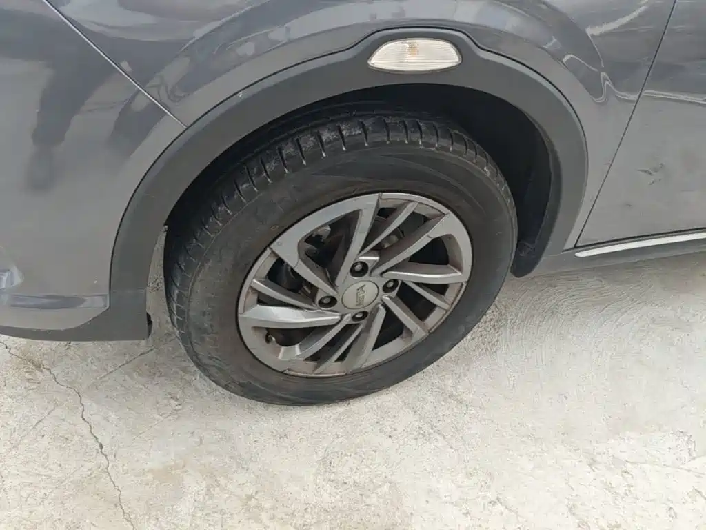 Neta Neta V — миниатюра 23