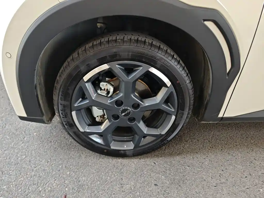 BYD Seagull — миниатюра 23