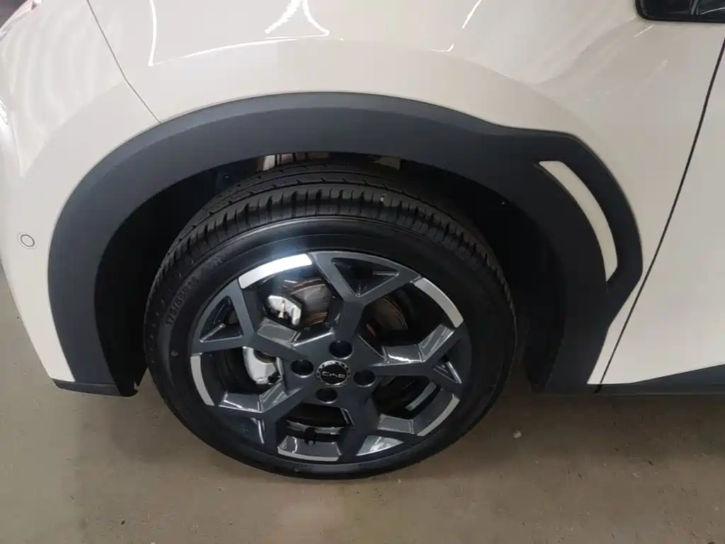 BYD Seagull — миниатюра 23