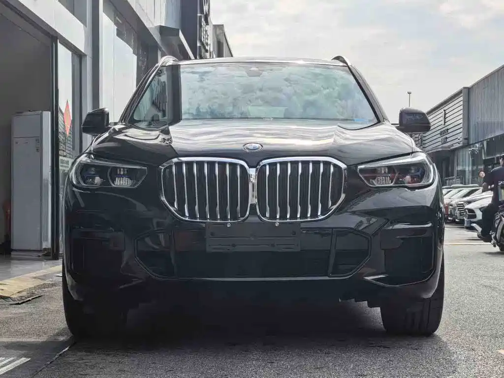 BMW X5 — миниатюра 2