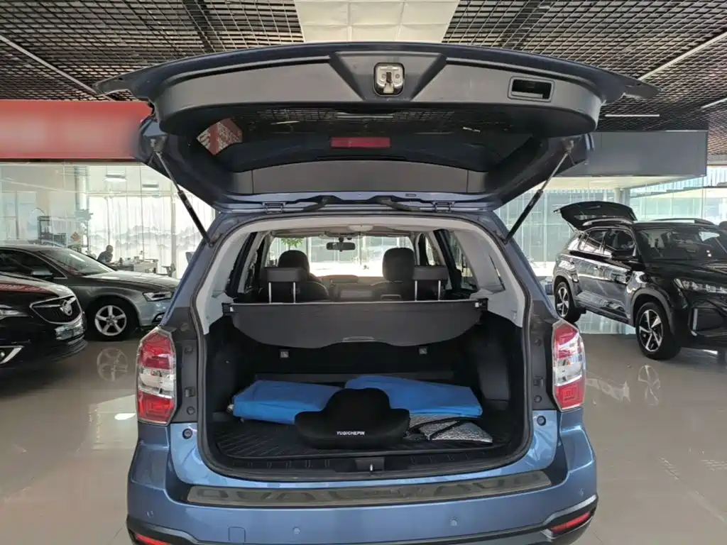 Subaru Forester — миниатюра 19