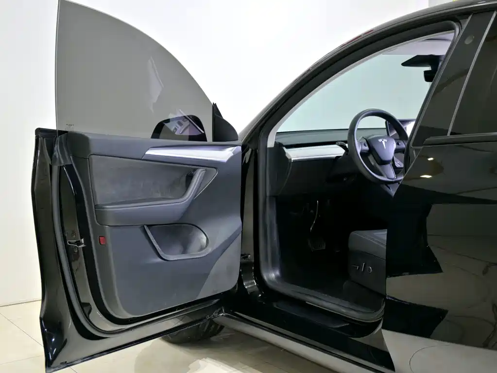 Tesla Model Y — миниатюра 11