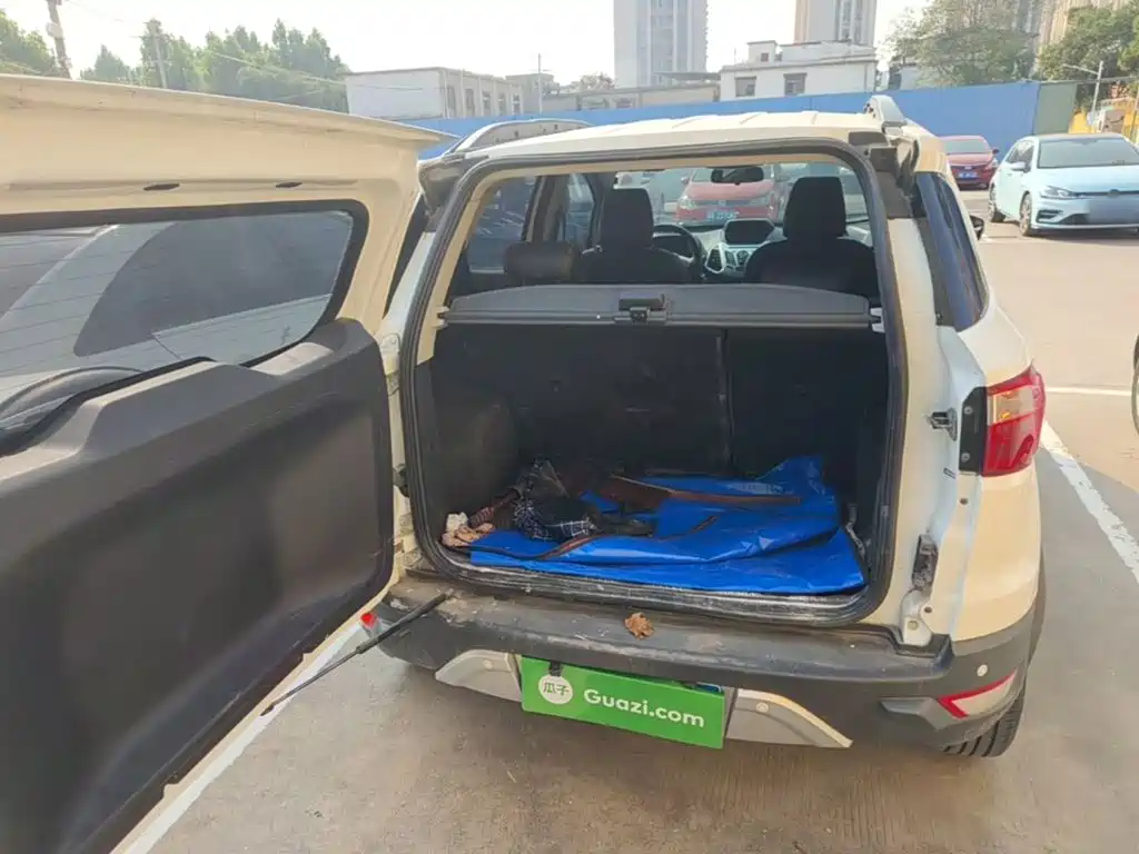 Ford Ecosport — миниатюра 19