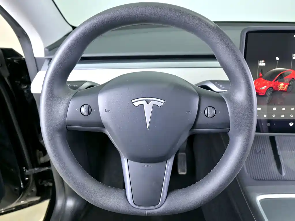 Tesla Model Y — миниатюра 15