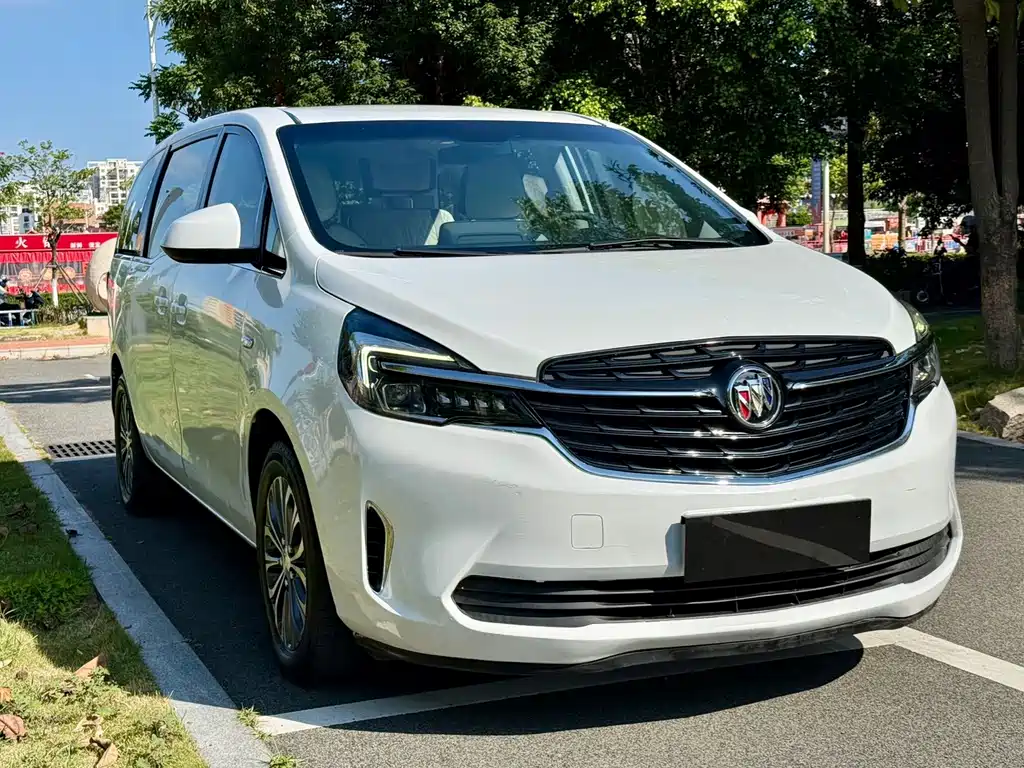 Buick GL8 — миниатюра 3