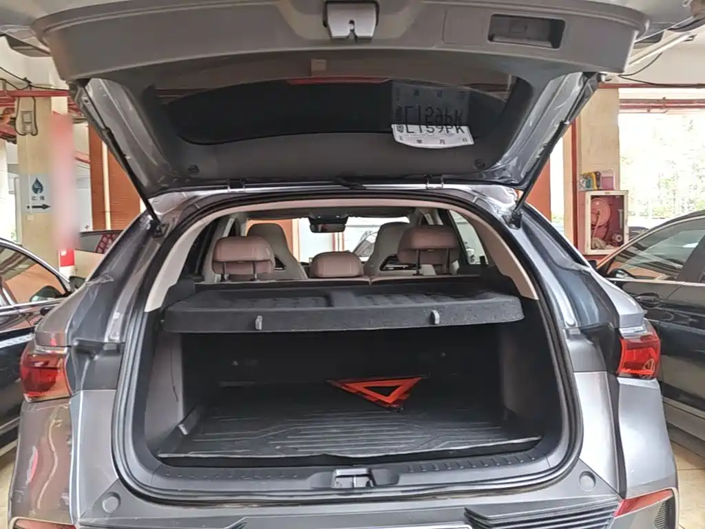 BYD Yuan Plus — миниатюра 19