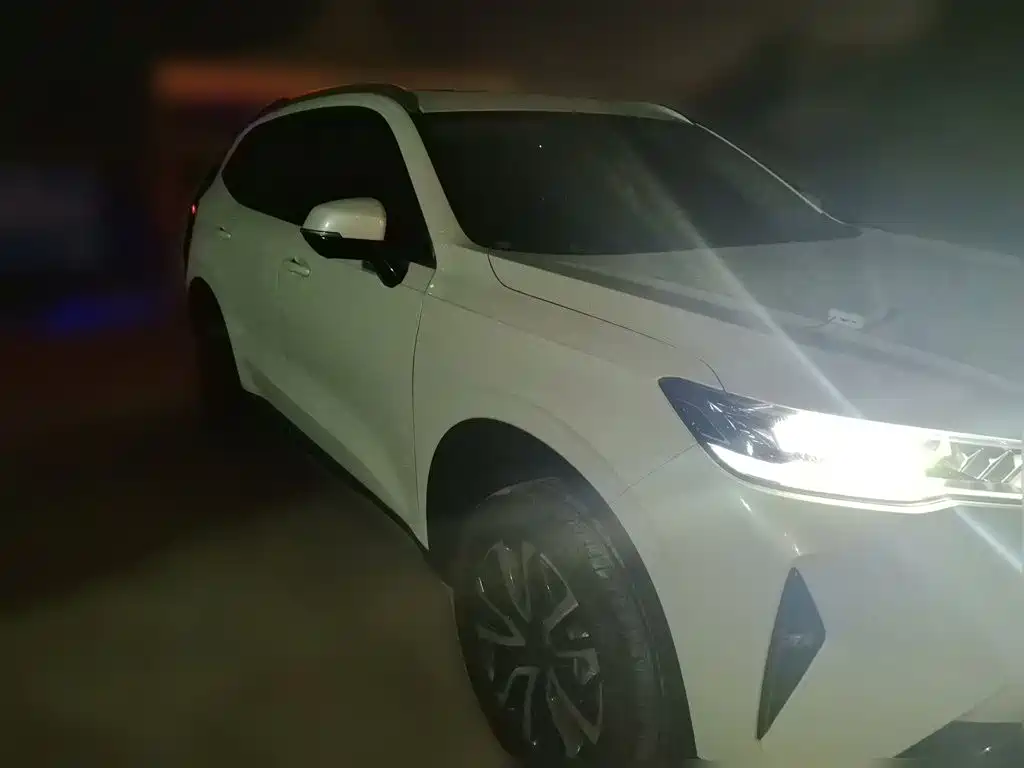 Haval H6 — миниатюра 3