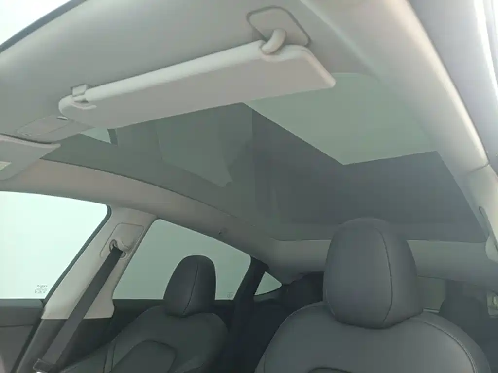 Tesla Model Y — миниатюра 10