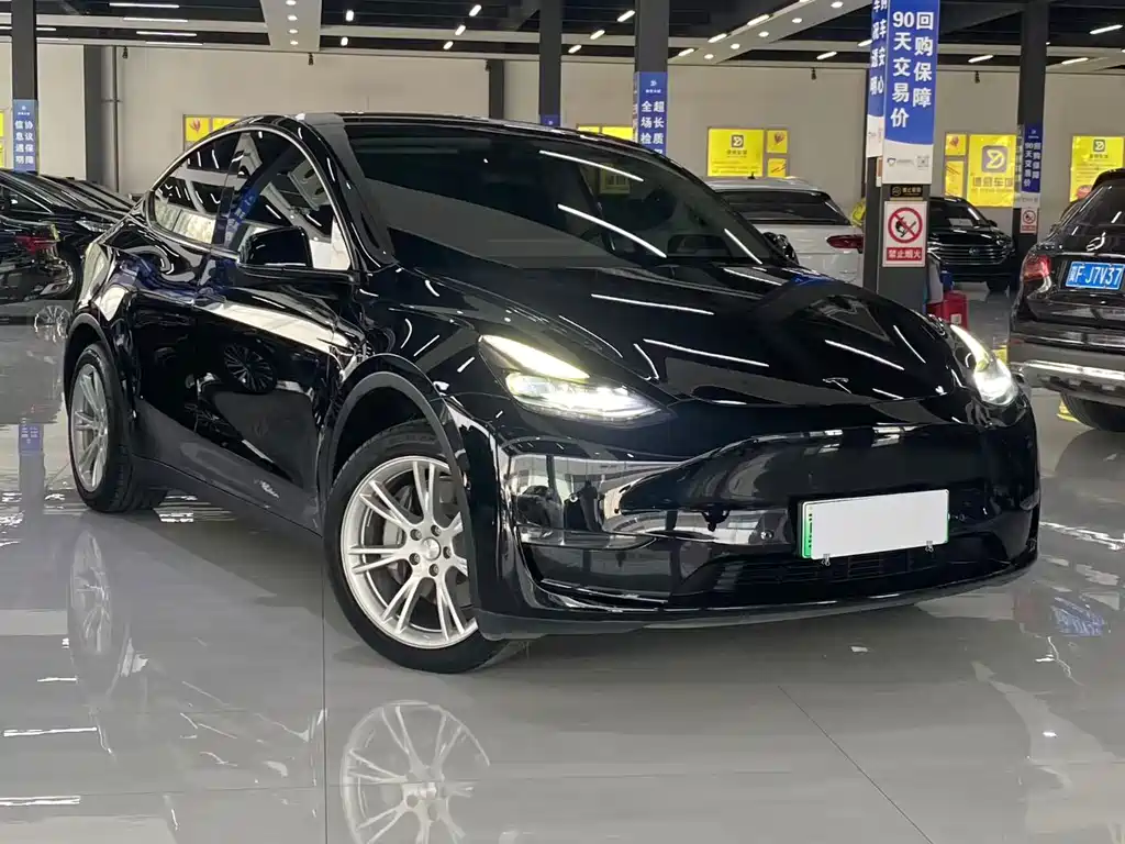 Tesla Model Y — миниатюра 3