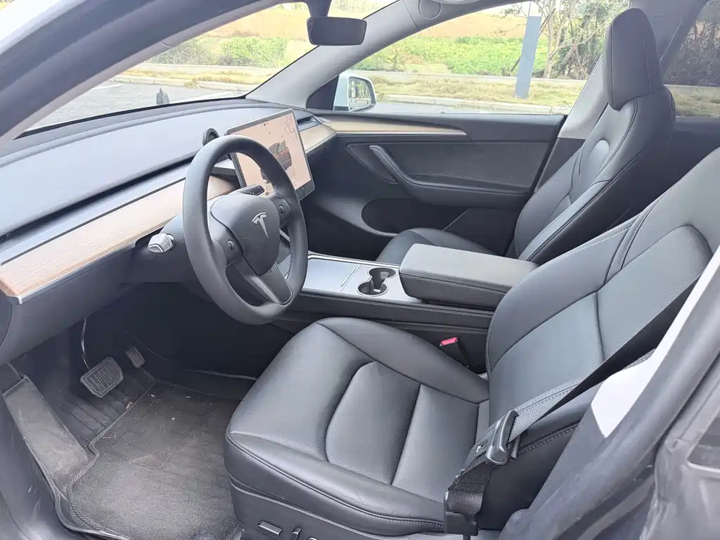 Tesla Model Y — миниатюра 7