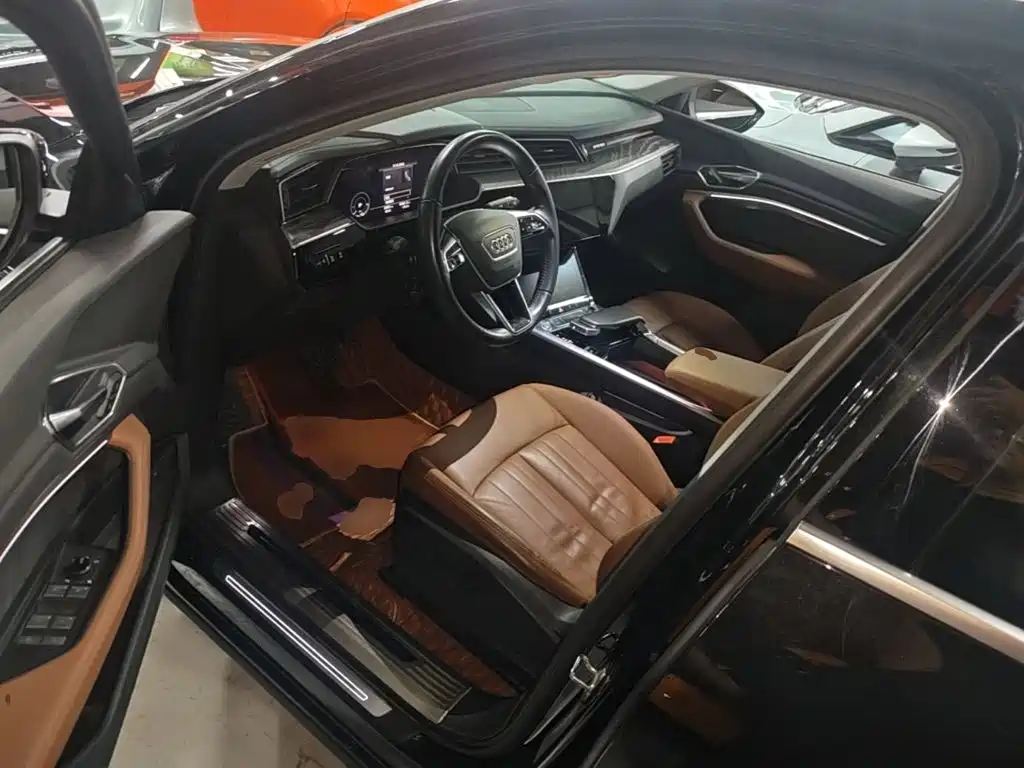 Audi e-tron (Import) — миниатюра 16