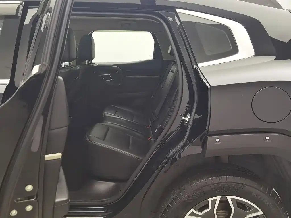 Haval Big Dog PLUS New Energy — миниатюра 15